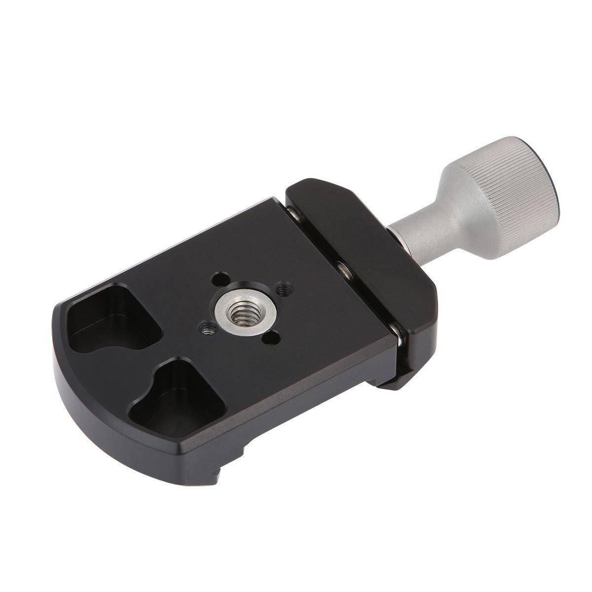 bottom view of C40
